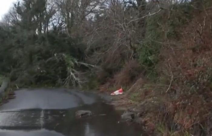 Un million de ménages sans électricité en Irlande et en Écosse, un homme est décédé: les nouvelles