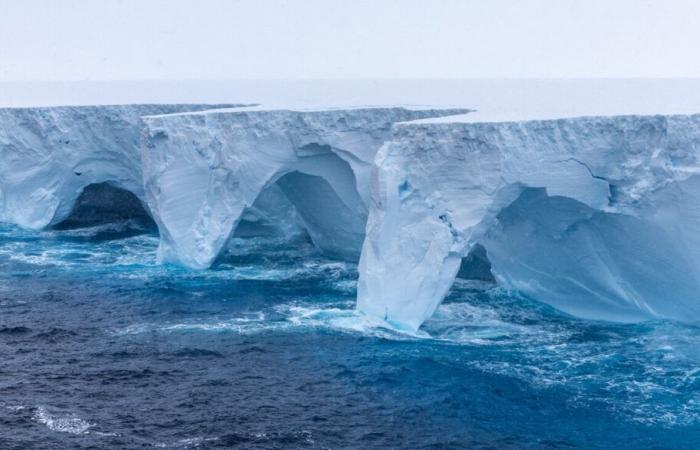 Un XXL Iceberg se dirige directement vers une île, menaçant des pingouins et des lions de mer