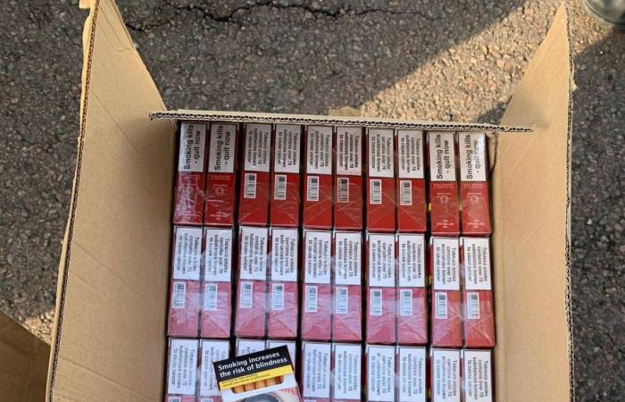 saisie de près d’un millier de paquets de contrebande de cigarettes sur l’A77