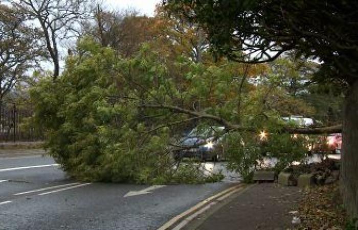 Les supermarchés à travers l’Écosse ont fermé au milieu de la tempête Eowyn Red Alert – Liste complète