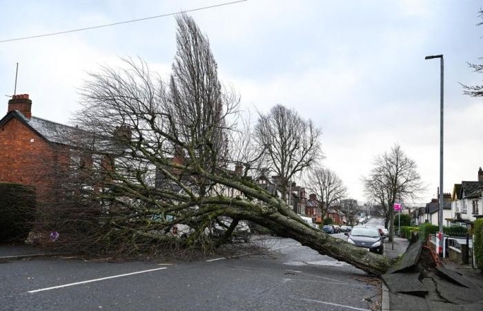 Storm Éowyn demande actuellement deux vies, des vents record de 184 kilomètres par heure mesurés en Irlande