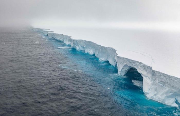 Où finira le plus grand iceberg du monde ?