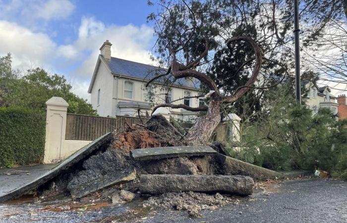 Storm Eowyn frappe l’Irlande et le Royaume-Uni