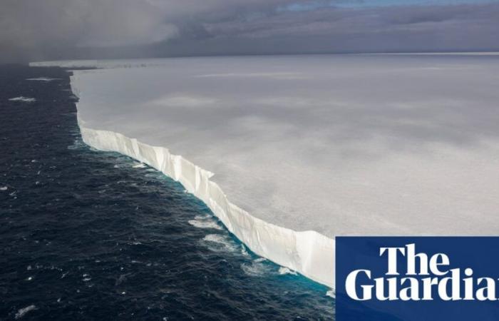 Le plus grand iceberg du monde dérive menaçant les îles éloignées des pingouins et des sceaux