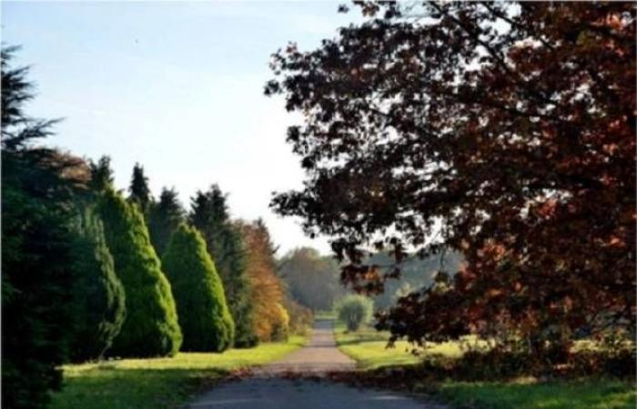 Île-de-France met en évidence ses 45 jardins remarquables