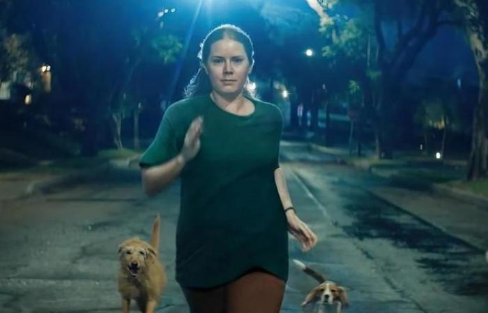 Amy Adams dans la nature violente et sauvage de la maternité