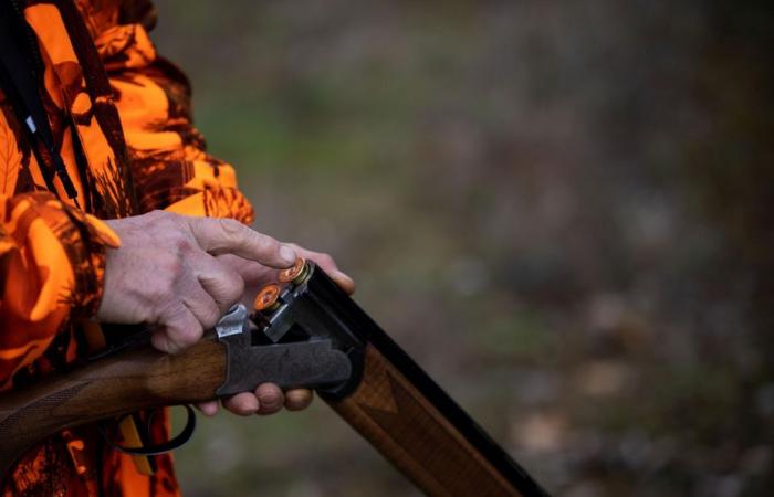 Des chasseurs déclenchent le confinement de trois écoles