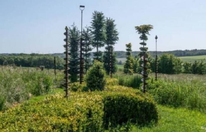 Île-de-France met en évidence ses 45 jardins remarquables