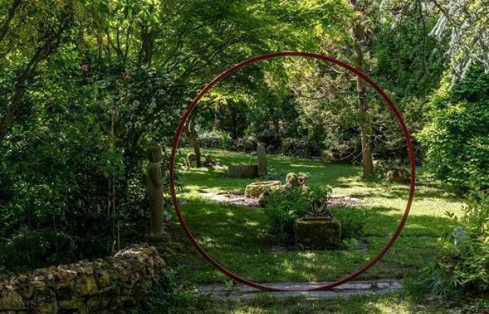 Île-de-France met en évidence ses 45 jardins remarquables