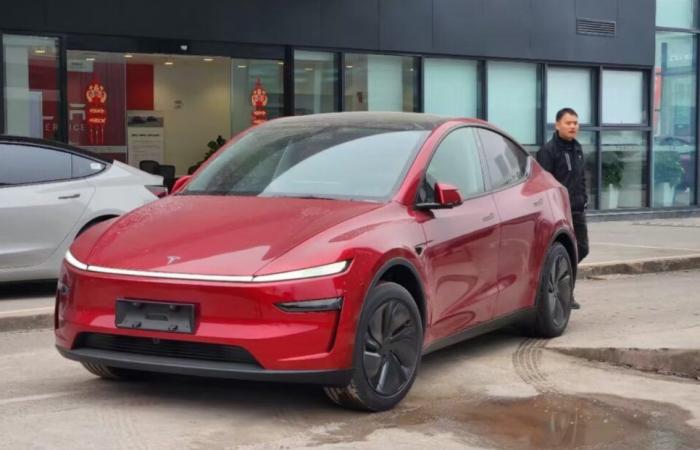 Les nouvelles unités «Juniper» de Tesla Model Y arrivent dans les salles d’exposition chinoises