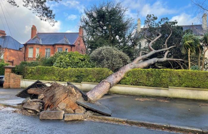 Le Storm Eowyn établit de nouveaux records de vent en Irlande