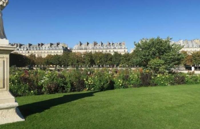 Île-de-France met en évidence ses 45 jardins remarquables