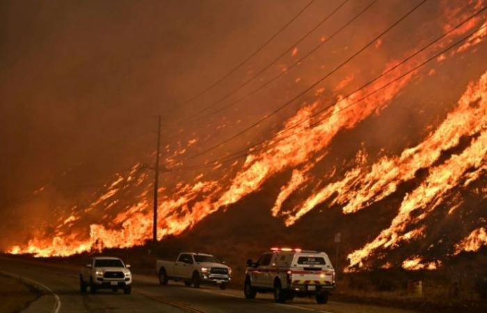 Trump va en Californie, la Maison Blanche met en scène des arrestations migrantes – 24/01/2025 à 17 h 59