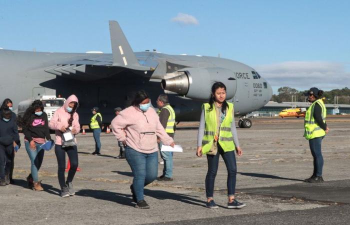 Les États-Unis ont commencé à expulser des centaines de migrants illégaux, renvoyés dans des avions militaires, dit l’administration Trump