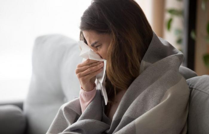 Les volontaires ont cherché dans le Bas-Rhin pour prévenir les épidémies de grippe, de covide et de bronchiolite