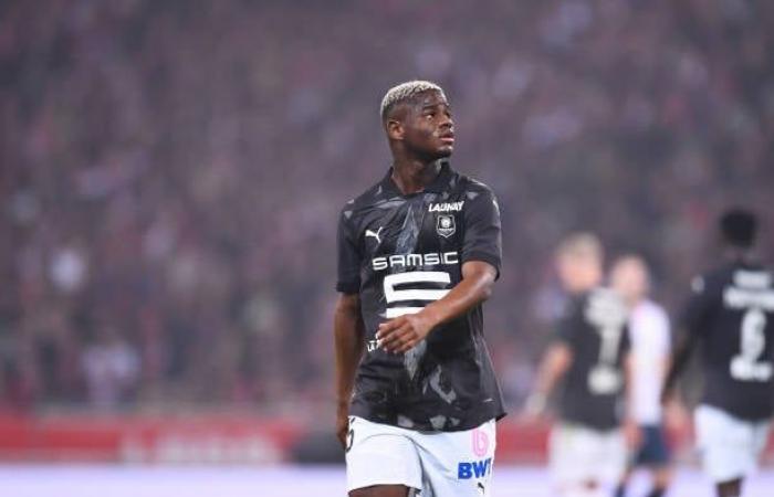 La page Bayer Leverken de Michael Ngor Fay