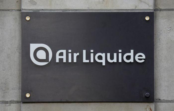 Avis des analystes du jour : Air Liquide, Danone, Imerys, Sandoz, Ubisoft, ALCON, Essilorluxottica… – 24/01/2025