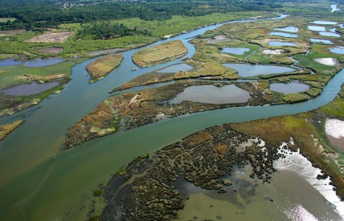 Parc Naturel Régional des Landes de Gascogne