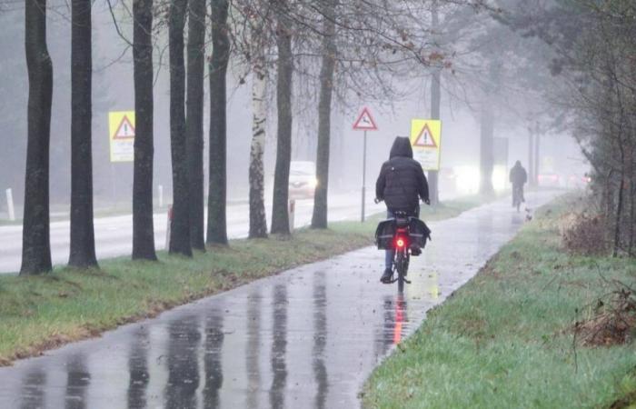 Le froid et le brouillard disparaissent, notre météorologue nous dit si nous allons voir le soleil