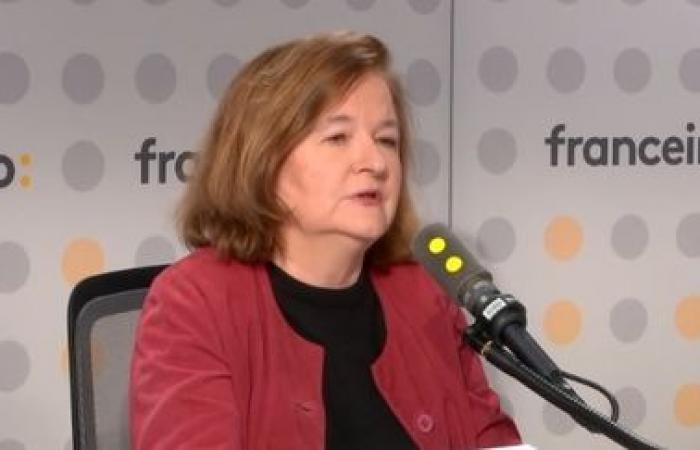 “Si vous devez parler à l’administration américaine, vous devez en parler debout, pas mentir”, a déclaré Nathalie Loiseau, députée européenne Renew Europe.