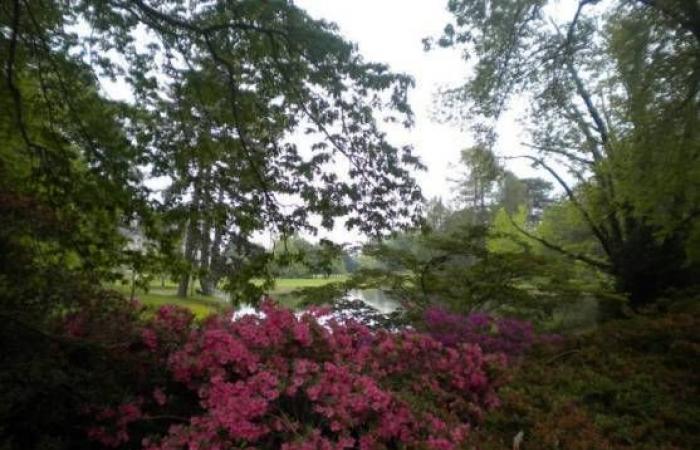 Île-de-France met en évidence ses 45 jardins remarquables