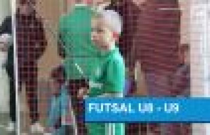 Futsal U8-U9 à l’honneur ce week-end! – District of Football Moors