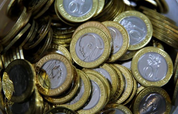 Le shilling kenyan reste stable par rapport au dollar américain – 24/01/2025