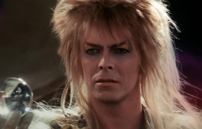 Le film culte avec David Bowie aura le droit d’une suite