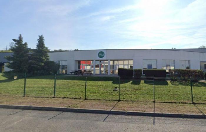 Fo Moselle dénonce la liquidation brutale de MM Packaging à Sarreguemines