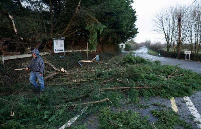 Storm Éowyn demande actuellement deux vies, des vents record de 184 kilomètres par heure mesurés en Irlande