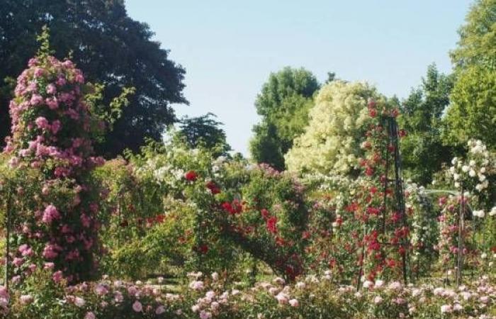 Île-de-France met en évidence ses 45 jardins remarquables