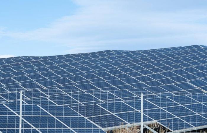 La construction en Moselle de la « plus grande » usine de panneaux solaires d’Europe validée par les autorités – Libération