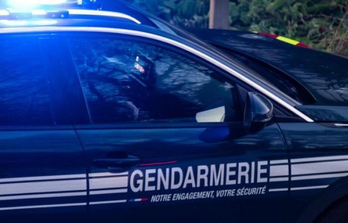 Un homme «potentiellement armé et dangereux» voulait