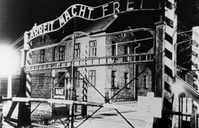 Il y a 80 ans, la libération d’Auschwitz