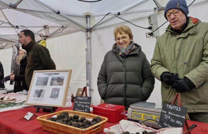 La truffe en plein essor en Indre-et-Loire