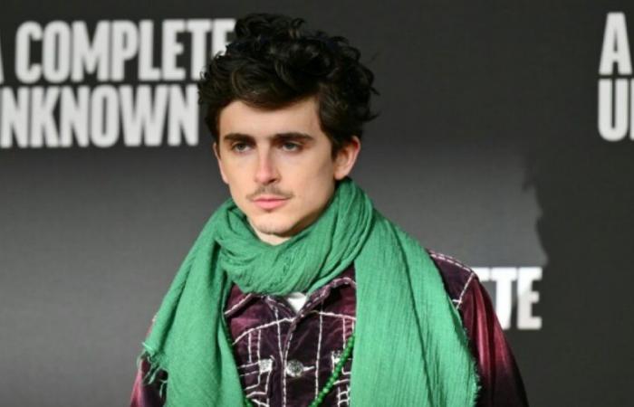 À la place de Bob Dylan, Timothee Chalamet frappe aux portes du paradis: nouvelles