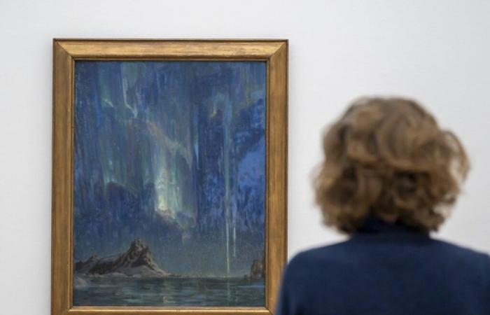 Les aurores boréales illuminent la Fondation Beyeler à Riehen