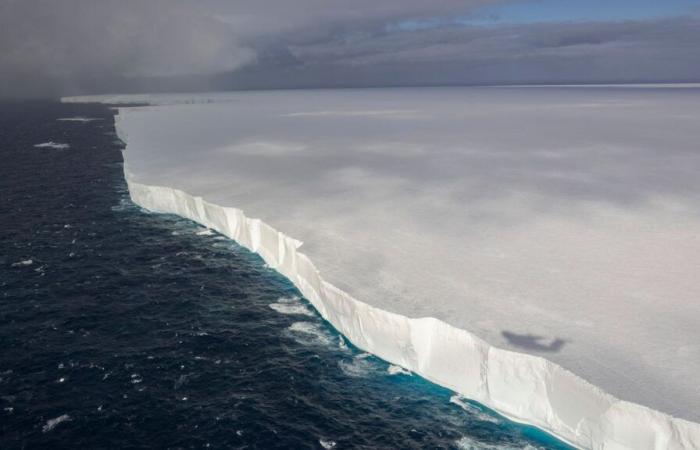 Le plus grand iceberg du monde en cours de route avec une île, mettant en danger des millions de manchots