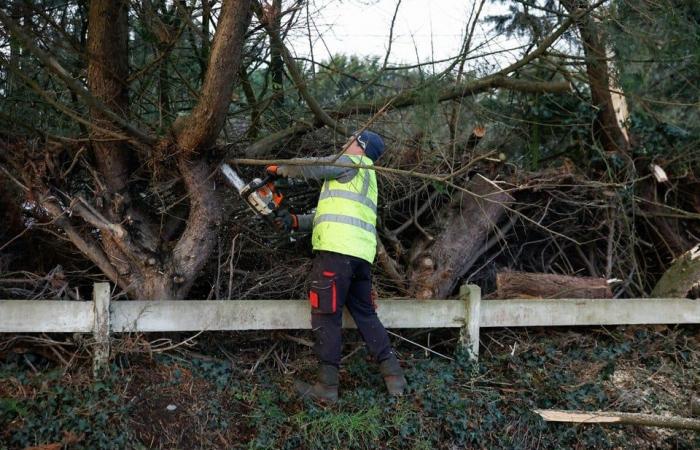 Storm Éowyn demande actuellement deux vies, des vents record de 184 kilomètres par heure mesurés en Irlande