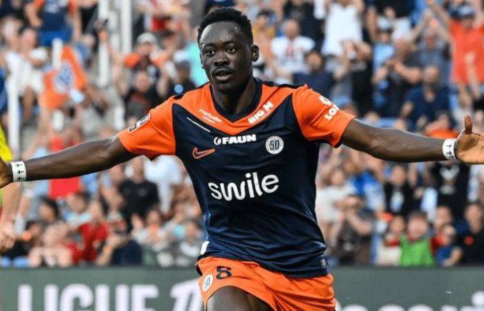 Akor Adams quitte Montpellier pour Séville, Andy Delort pressenti pour le remplacer – LesViolets.Com