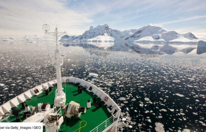 La Russie et la Chine menacent la survie des espèces en Antarctique en sapant un accord crucial sur le « krill »