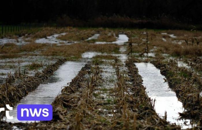 jusqu’à 40 litres de pluie par mètre carré