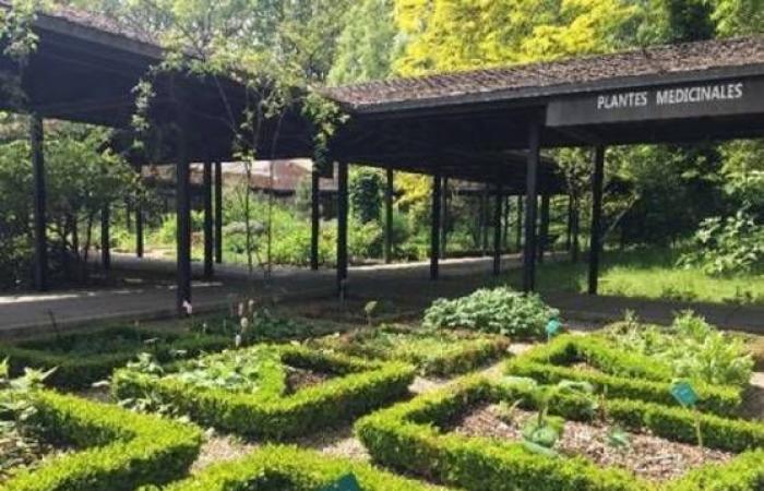 Île-de-France met en évidence ses 45 jardins remarquables