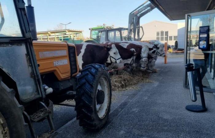 Pontarlier. L’agriculteur en colère devra négocier avec un autre assureur