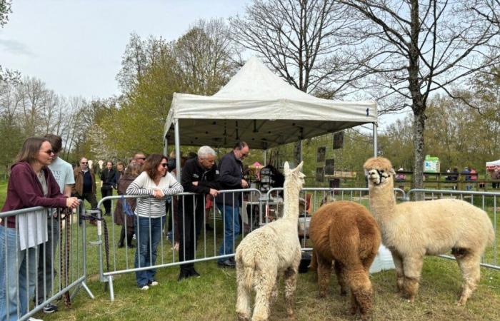 Cette grande fête locale n’aura pas lieu cette année