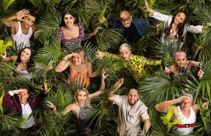 Jungle Camp 2025 : Photos exclusives ! BILD était déjà en brousse avant les candidats