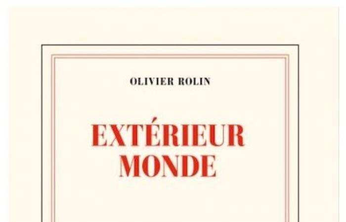 DIACRITIKLes mains dans les poches : Olivier Rolin, Sept villes