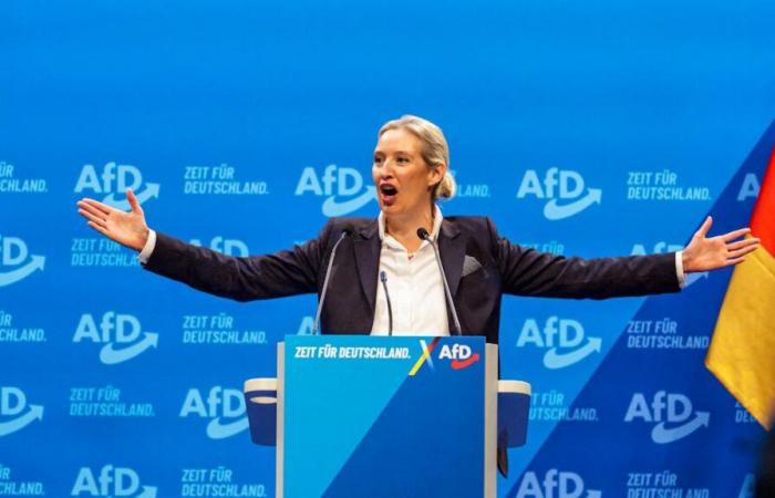 L’abandon de «Cordon Health» avec AFD Scholz