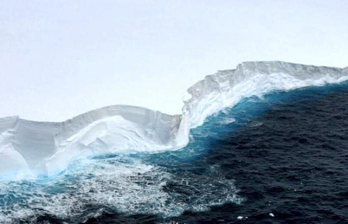 Le plus gros iceberg du monde en route vers une collision avec des îles isolées : ScienceAlert