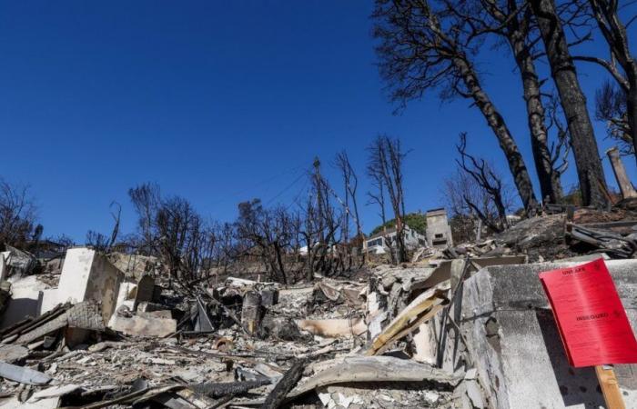 Entre le scepticisme et les espoirs, Donald Trump devrait être fermement attendu par les victimes d’incendie en Californie